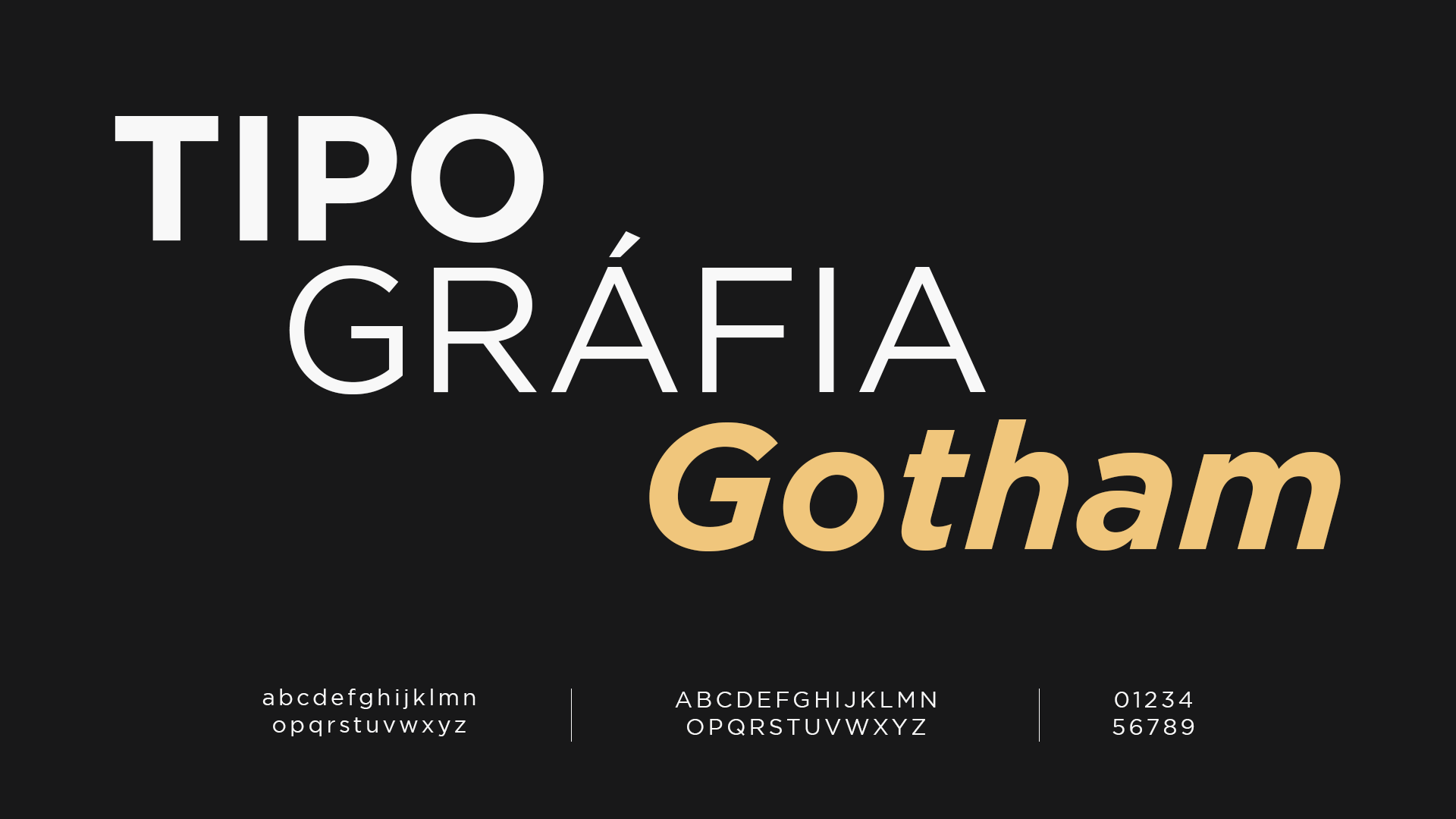 Sistema de grid do projeto